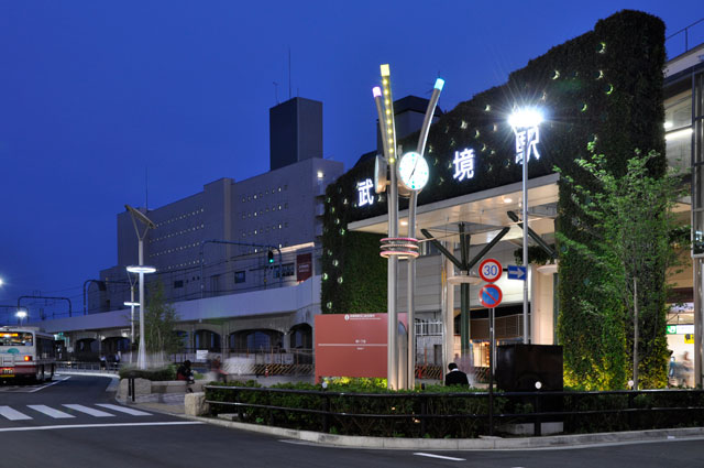 Custom Solar Powered Street Light