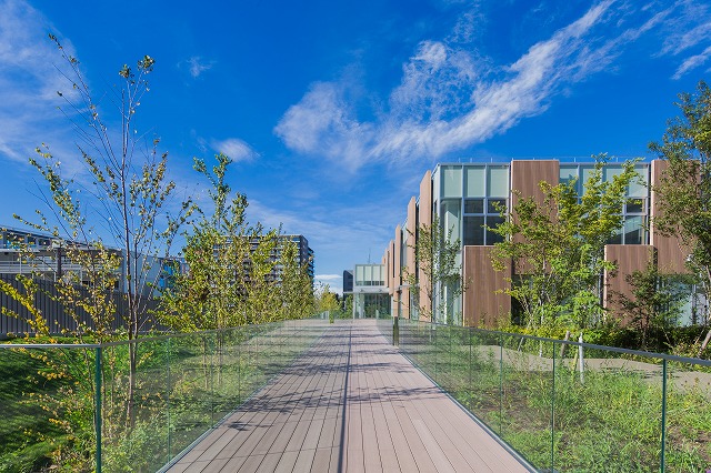 The wooden path leading to the square, and the glass handrails