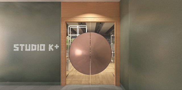 The 3D perspective drawing of the door