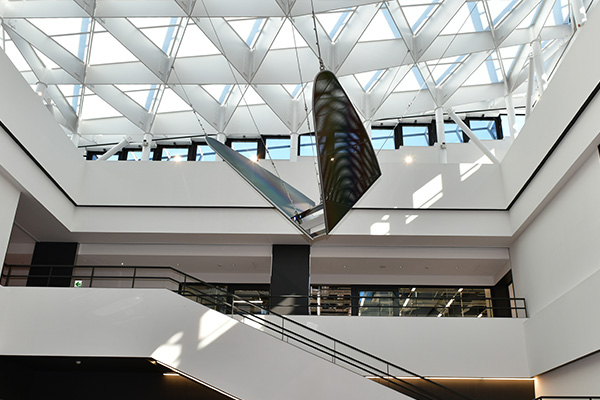 'Rainbow Wings' flying and shimmering under the light